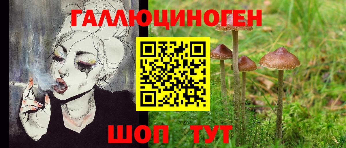 Псилоцибиновые грибы Cubensis Ступино